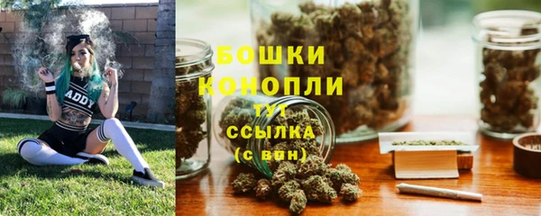 МДПВ Богородицк