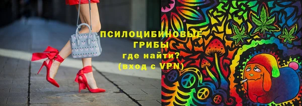 МДПВ Богородицк